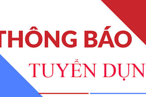 Thông báo tuyển lao động của Trung tâm Lưu trữ lịch sử và Dịch vụ việc làm tỉnh Kon Tum